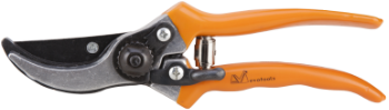 Pruning Shears