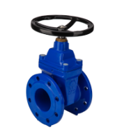 Cast Iron Shut-off Valve with Flanges