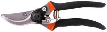 Pruning Shears