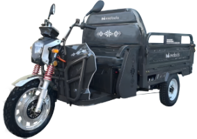 Electric Cargo Trycicle TRCC1500N