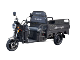 Electric Cargo Trycicle TRCC1000.