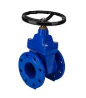 Cast Iron Shut-off Valve with Flanges