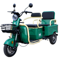 Elektromos Személyszállító Tricikli Dupla Paddal Bendis TRCC1200 EvoTools®