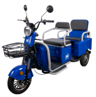 Elektromos Személyszállító Tricikli Dupla Paddal Bendis TRCC1200 EvoTools®