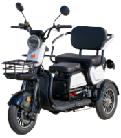 Person Electric Tricycle TRP1000