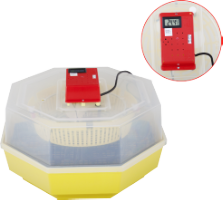 Electric Incubator