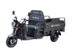 Triciclu Electric Cargo Balaur TRCC1000