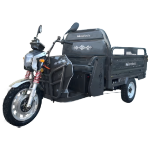Electric Cargo Trycicle TRCC1000