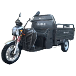 Electric Cargo Trycicle TRCC1500N