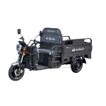 Electric Cargo Trycicle TRCC1000