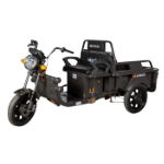 Electric Cargo Trycicle